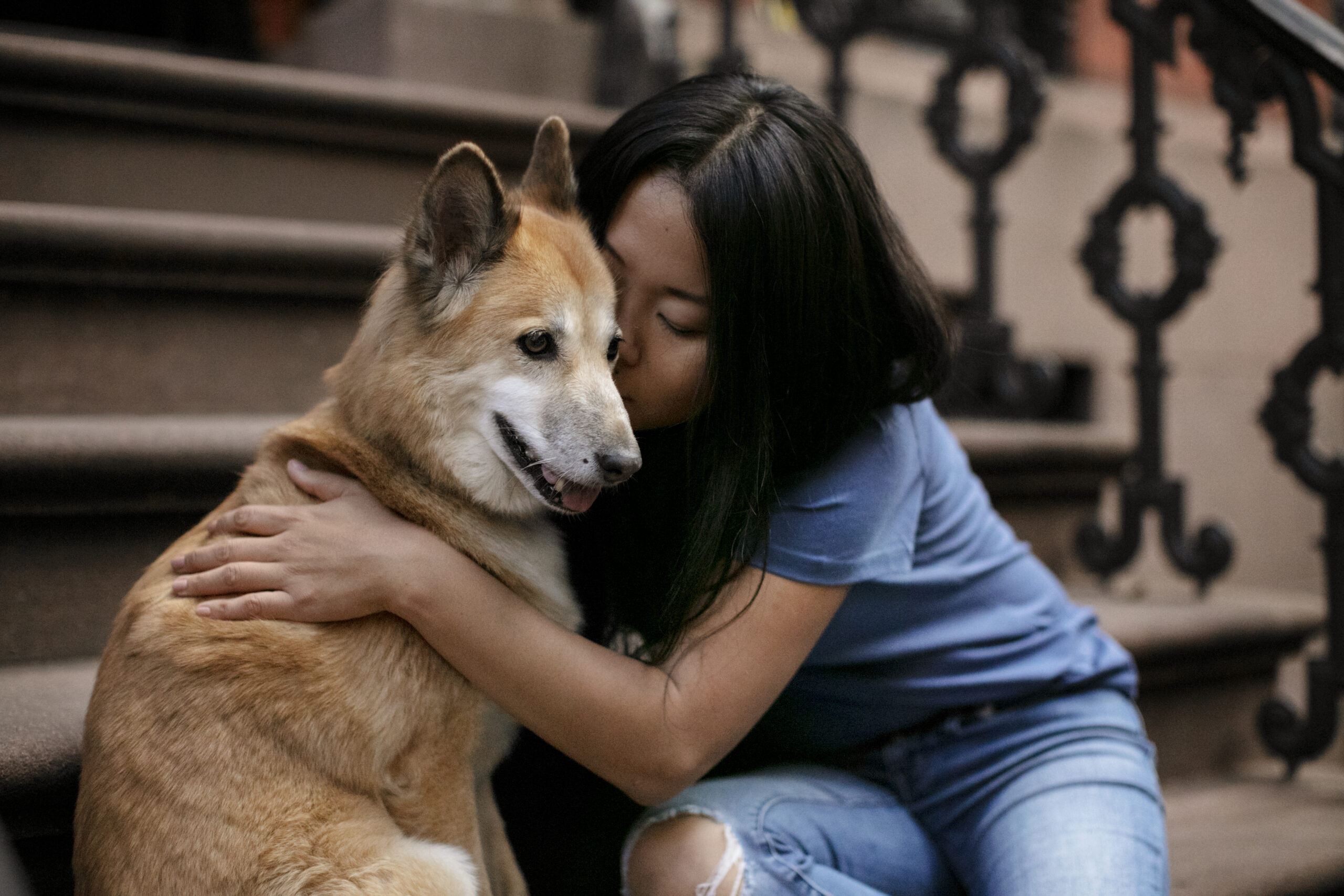 Como cuidar e amar seus pets com responsabilidade