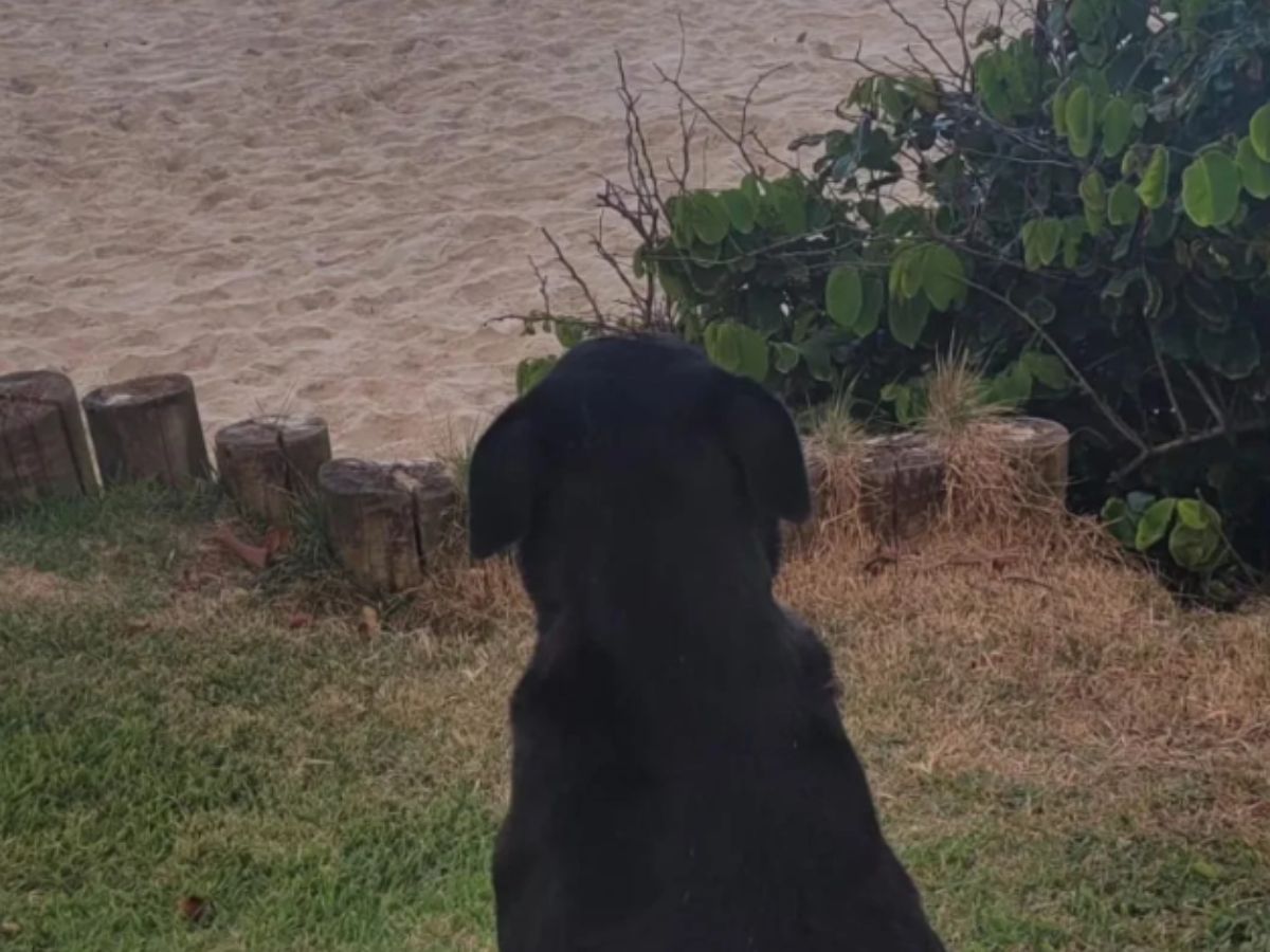 reprodução instagram